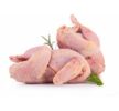 QUAIL