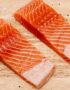 Salmon Fillet close
