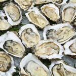 OYSTERS